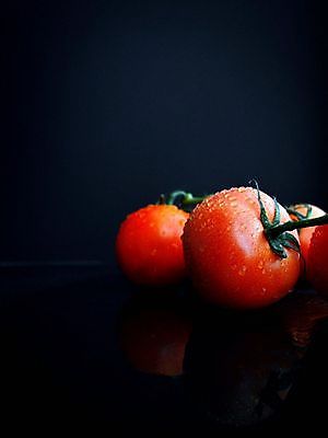 포토 JPG 해외이미지 식물 음식 백그라운드 잎 농업 다이어트 토마토 채소 과일 재료 자연 건강 요리 사람없음 빨간색 초록색 빛 식사 활발 샐러드 성장 흰색 신선 원형 시장 맛 케첩 먹기 오브젝트 싱글 유기농 원예 날것 내추럴 고립 숙성 영양분 채식주의자 해외포토 도형 웰빙 산업 컬러 컨셉 모션 취미 소스_음식 생태계 채식 파일형식 이미지허브