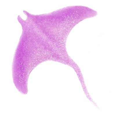 포토 JPG 해외이미지 동물 디자인 실루엣 야생동물 바다 분홍색 백그라운드 일러스트 자연 생물 어류 미술 사람없음 물 컬러풀 디지털 수중 수영 페인트 광선 흰색 떨어짐 인쇄 만화 제비꽃 그림 질감 육식동물 손그림 태평양 수족관 대서양 고립 깊이 동물상 해외일러스트 자연요소 꽃 컬러 컨셉 문화예술 촬영기법 조형물 수중동물 수상스포츠 생태계 파일형식 이미지허브