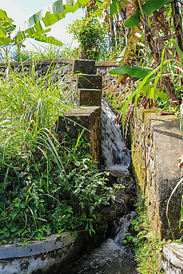 포토 JPG 해외이미지 나무 식물 계절 산업 문화 호수 음식 백그라운드 농업 자연 하늘 밥 산 동양인 풍경 사람없음 야외 건물 초록색 물 여름 파란색 농작물 강 농경지 환경 경작 흐름 수확 시골 개울 숲 시리얼 운하 시스템 내추럴 배수구 논밭 채널 해외포토 자연요소 건축물 컬러 컨셉 밭 논 인종 농장 농사 생태계 파일형식 이미지허브