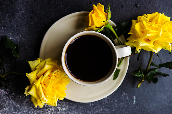 포토 JPG 해외이미지 꽃 커피 사람없음 물 장미 꽃병 머그컵 해외포토 자연요소 식물 음료 컵 파일형식 이미지허브