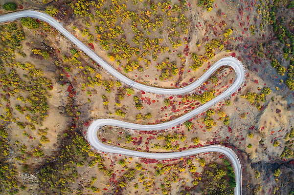 포토 JPG 해외이미지 나무 도로 여행 곡선 자동차 자연 산 안테나 풍경 사람없음 빨간색 세로 초록색 여름 노란색 가을 시골 뱀 정상 숲 아스팔트 언덕 바둑 통과 내추럴 굴곡 드론 해외포토 식물 계절 길 선 육상교통 컬러 통신 교통시설 파충류 놀이 생태계 파일형식 이미지허브