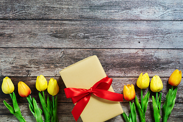 포토 JPG 해외이미지 전통 계절 꽃 행복 별 리본 백그라운드 컨셉 크리스마스 겨울 휴가 새해 기념 선물 이벤트 사람없음 장식 빨간색 선물상자 쇼핑 상자 갈색 세일 상점 놀람 권투 수확 시골 축하 인사 12월 활 복고 시멘트 환영 마법 온라인 그만 마지막 특별함 제의 해외포토 자연요소 식물 기념일 감정 컬러 농업 표정 격투기 예절 날짜 파일형식 이미지허브