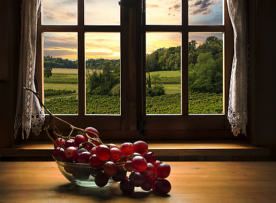 포토 JPG 해외이미지 식물 계절 열매 음식 분홍색 백그라운드 잎 농업 과일 자연 포도 디저트 건강 사람없음 빨간색 초록색 농작물 보라색 검은색 주스 수확 가을 흰색 나뭇가지 신선 달콤 맛 다발 유기농 포도밭 포도나무 내추럴 고립 숙성 양조장 해외포토 나무 웰빙 산업 음료 컬러 컨셉 밭 과일나무 생태계 파일형식 이미지허브