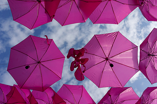 포토 JPG 해외이미지 구름 디자인 행복 분홍색 백그라운드 컨셉 우산 하늘 날씨 휴가 거리 매달리기 손잡이 미술 사람없음 야외 장식 여름 컬러풀 걷기 축제 산책 장비 도시 오픈 보호 핸들 양산 반대 강렬 설치 많음 해외포토 자연요소 계절 감정 컬러 모션 문화예술 휴식 파일형식 이미지허브
