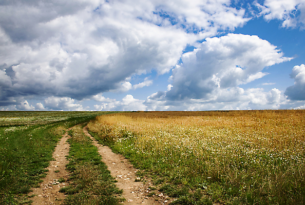 포토 JPG 해외이미지 식물 구름 계절 도로 길 여행 백그라운드 밭 농업 자연 하늘 파노라마 풍경 사람없음 야외 초록색 여름 파란색 태양 농장 농경지 노란색 일출 환경 맑음 일몰 시골 땅 내추럴 생태학 슬로바키아 수평선 해외포토 자연요소 교육 유럽 산업 컬러 교통시설 날씨 촬영기법 노을 생태계 파일형식 이미지허브