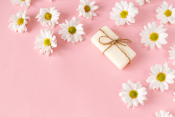 포토 JPG 해외이미지 꽃 분홍색 백그라운드 컨셉 꽃무늬 자연 건강 사람없음 초록색 빛 환경 스파 봄 화장품 공백 재활용 흰색 상품 허브 피부 순수 오브젝트 에코 유기농 데이지 아로마 비누 내추럴 고체 돌봄 위생관리 캐모마일 핸드메이드 카피스페이스 해외포토 식물 웰빙 계절 컬러 무늬 모션 관리 신체부위 위생용품 뷰티 친환경 생태계 파일형식 이미지허브