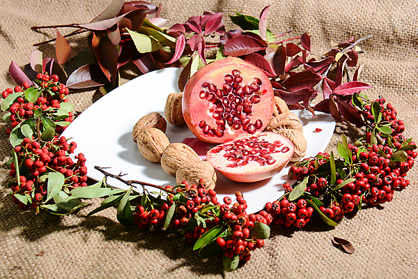 포토 JPG 해외이미지 겨울 과일 자연 포도 건강 사람없음 가을 사과 복지 블루베리 산딸기 호두 석류 블랙베리 해외포토 계절 견과류 사회이슈 생태계 파일형식 이미지허브