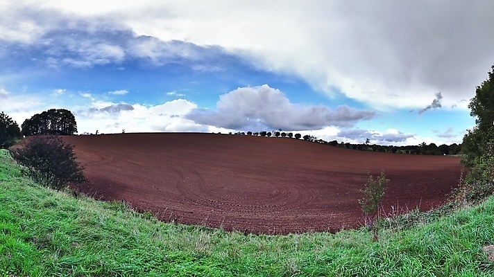 포토 JPG 해외이미지 나무 계절 공원 유럽 여행 백그라운드 밭 농업 자연 하늘 파노라마 풍경 사람없음 초록색 여름 파란색 햇빛 농장 농경지 환경 맑음 봄 활발 성장 시골 땅 장면 내추럴 밭일 수평선 카피스페이스 해외포토 식물 공공시설 나라 산업 컬러 컨셉 날씨 촬영기법 태양 공백 생태계 파일형식 이미지허브