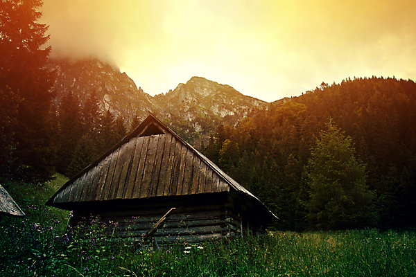 포토 JPG 해외이미지 나무 식물 구름 공원 길 여행 잎 오렌지 자연 하늘 아침 산 주택 풍경 사람없음 야외 목재 초록색 물 여름 파란색 빛 뷰티 노란색 평화 환경 어둠 일몰 새벽 안개 달 가을 황무지 황금 저녁 숲 작음 산등성이 폴란드 내추럴 뿌연 서쪽 해외포토 주간 자연요소 계절 공공시설 유럽 컬러 컨셉 과일 재료 날씨 건물 노을 야간 크기 방향 생태계 파일형식 이미지허브