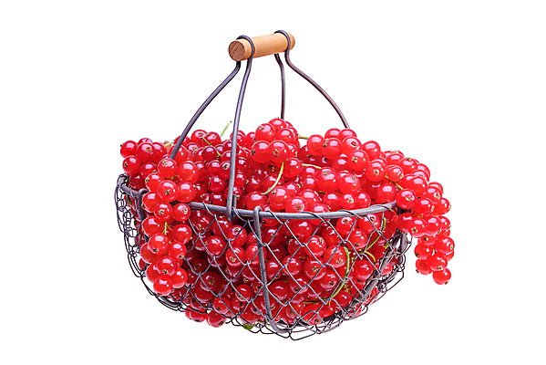 포토 JPG 해외이미지 식물 열매 음식 줄기 백그라운드 잎 다이어트 과일 재료 자연 디저트 건강 사람없음 빨간색 여름 우주 수확 나뭇가지 신선 그룹 달콤 맛 다발 먹기 오브젝트 상쾌 유기농 날것 건포도 숙성 채식주의자 비건 해외포토 나무 웰빙 계절 감정 컬러 컨셉 농업 모션 포도 생태계 채식 건과일 파일형식 이미지허브