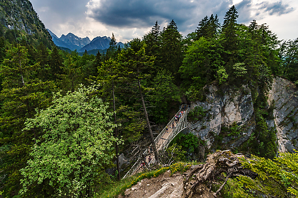 포토 JPG 해외이미지 나무 구름 응시 스포츠 바다 여행 자연 산 스트레스 파노라마 풍경 사람없음 야외 초록색 여름 파란색 태양 하이킹 시골 소나무 숲 언덕 오르기 알프스 천국 절정 바이에른 해외포토 자연요소 식물 시선 계절 유럽 컬러 모션 레저 독일 촬영기법 생태계 파일형식 이미지허브