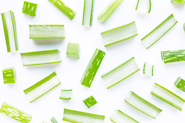 포토 JPG 해외이미지 스튜디오촬영 단면 실내 사람없음 하이앵글 뷰티 흰배경 알로에 해외포토 식물 뷰포인트 백그라운드 내부 흰색 파일형식 이미지허브