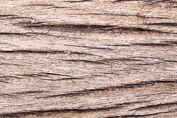 포토 JPG 해외이미지 나무 백그라운드 패턴 자연 표면 날씨 추상 건조 사람없음 목재 갈색 어둠 수확 시간 판넬 거친 널 낟알 묘사 질감 매듭 내추럴 그런지 수목 옛날 해외포토 식물 컬러 무늬 농업 재료 생태계 파일형식 이미지허브