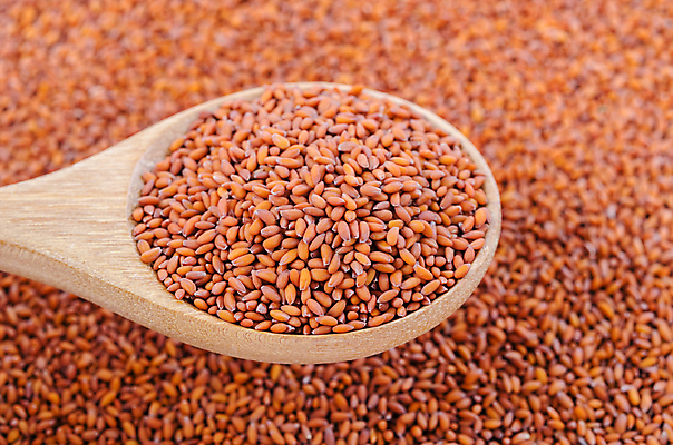 포토 JPG 해외이미지 식물 음식 백그라운드 다이어트 채소 재료 자연 건조 건강 씨앗 사람없음 목재 약 새싹 정원 숟가락 봄 샐러드 성장 신선 발사 허브 유기농 질감 날것 내추럴 모종 식용 채식주의자 많음 해외포토 나무 웰빙 계절 컨셉 의학 수저 생태계 채식 파일형식 이미지허브