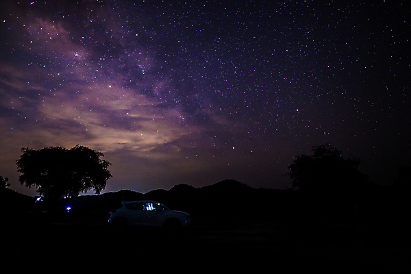 포토 JPG 해외이미지 나무 실루엣 별 밤하늘 사람없음 야외 분위기 야간 감성 몽환 해외포토 자연요소 식물 컨셉 하늘 촬영기법 파일형식 이미지허브