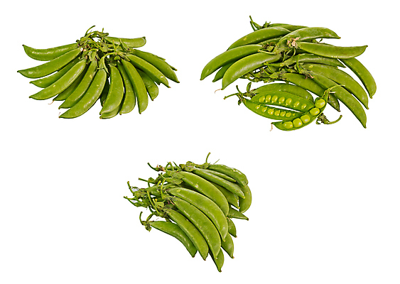 포토 JPG 해외이미지 식물 음식 백그라운드 농업 채소 재료 건강 씨앗 사람없음 초록색 흰색 신선 오픈 낟알 유기농 완두콩 날것 고립 꼬투리 숙성 줄서기 채식주의자 해외포토 웰빙 산업 컬러 모션 콩 채식 파일형식 이미지허브