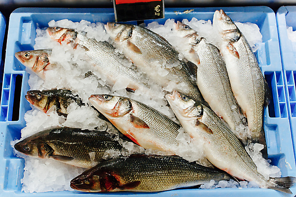 포토 JPG 해외이미지 유럽 음식 바다 재료 낚시 쟁반 건강 어류 요리 사람없음 상점 얼음 추위 신선 그룹 시장 구매 배열 해산물 날것 베이스 생식 오메가 해외포토 자연요소 나라 현악기 레저 쇼핑 수중동물 파일형식 이미지허브