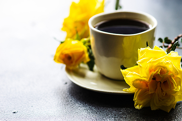 포토 JPG 해외이미지 꽃 커피 사람없음 물 장미 꽃병 머그컵 해외포토 자연요소 식물 음료 컵 파일형식 이미지허브