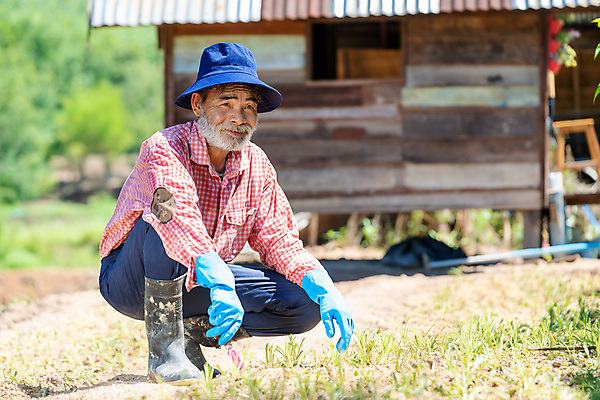 포토 JPG 해외이미지 식물 백인 직업 라이프스타일 할아버지 노년 꽃 행복 지구 농업 자연 한명 사람 잔디 성인 취미 야외 세로 초록색 정원 봄 회색 성장 업무 작업 농부 은퇴 삽 원예 조경 먼지 선배 원예사 해외포토 서양인 1 계절 남자 감정 산업 컬러 생활 생태계 파일형식 이미지허브