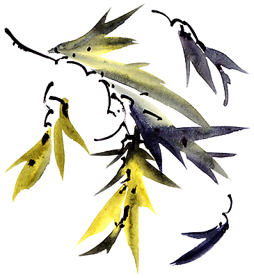 JPG 해외이미지 식물 꽃 잎 일러스트 붓터치 수채화 사람없음 뷰티 그림 번짐 해외일러스트 파일형식 효과 이미지허브