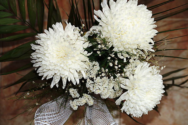 포토 JPG 해외이미지 식물 라이프스타일 꽃잎 꽃 꽃다발 백그라운드 꽃무늬 자연 휴가 국화 선물 사람없음 장식 초록색 빛 공백 벚꽃 흰색 개화 배열 주말 내추럴 카피스페이스 해외포토 컬러 무늬 생활 생태계 파일형식 이미지허브