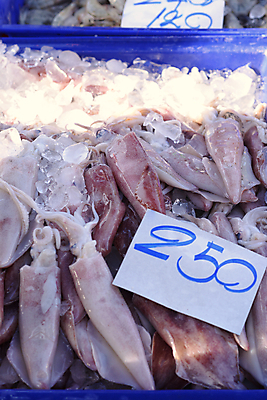 포토 JPG 해외이미지 음식 바다 태국 자연 낚시 요리 사람없음 물 판매 상점 주방 냉동 얼음 수중 식사 저녁식사 젖음 추위 흰색 신선 그룹 시장 닫기 맛 먹기 해산물 콧수염 오징어 날것 가격표 문어 해외포토 자연요소 아시아 컬러 컨셉 모션 레저 수염 연체동물 수중동물 생태계 파일형식 이미지허브