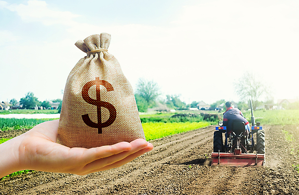 포토 JPG 해외이미지 전신 손 남자 산업 밭 농업 한명 들기 성인 뒷모습 신체부위 금융 경제 농경지 달러 돈자루 농부 승차 트랙터 수입 지원 성인남자한명만 해외포토 직업 1 뷰포인트 돈 모션 사람 농장 농기계 특수차량 남자한명만 성인남자만 파일형식 이미지허브