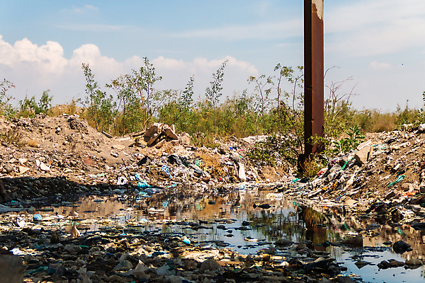 포토 JPG 해외이미지 동물 산업 지구 바다 가방 자연 조류 사람없음 빨간색 초록색 물 파란색 강 환경 수중 재활용 손상 도시 환경오염 보호 쓰레기 폐기물 위험 플라스틱 버리기 문제 낭비 생태학 위생관리 재앙 못생김 해외포토 자연요소 잡화 교육 컬러 컨셉 모션 재질 관리 친환경 생태계 파일형식 이미지허브