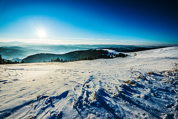 포토 JPG 해외이미지 나무 계절 여행 백그라운드 겨울 자연 하늘 휴가 스키 산 파노라마 풍경 경사 사람없음 파란색 뷰티 우주 맑음 냉동 얼음 황혼 일몰 하이킹 추위 흰색 시골 야간 숲 신비 언덕 서리 북쪽 내추럴 절정 눈내림 가문비나무 해외포토 자연요소 식물 컬러 컨셉 레저 날씨 겨울스포츠 눈_날씨 촬영기법 노을 방향 생태계 파일형식 이미지허브