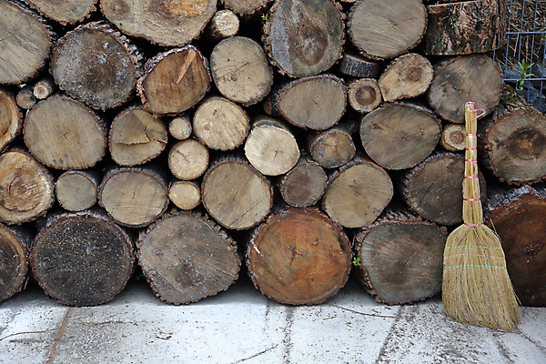 포토 JPG 해외이미지 조각 백그라운드 패턴 주택 건조 사람없음 야외 목재 갈색 시골 원형 숲 장작 자르기 오브젝트 질감 연료 난방 자작나무 잡동사니 내추럴 뒤뜰 벌목 수목 해외포토 도형 나무 컬러 무늬 재료 모션 건물 파일형식 이미지허브
