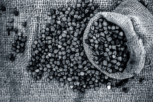 포토 JPG 해외이미지 식물 전통 음식 백그라운드 다이어트 채소 가방 재료 포장 표면 파프리카 건강 병아리 요리 사람없음 식사 흰색 신선 맛 정상 인도인 굽기 먹기 삼베 향신료 유기농 완두콩 내추럴 고립 단백질 병아리콩 채식주의자 비건 해외포토 외국인 웰빙 잡화 컬러 컨셉 모션 조류 콩 동양인 구이 채식 영양소 향미료 파일형식 천_직물 이미지허브