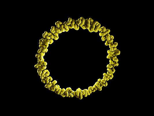 포토 JPG 해외이미지 과학 일러스트 생물 세포 나선형 건강 현미경 실험 사람 사람없음 약 3D 고통 열 벌레 질병 공격 생물학 싸움 감염 미생물 박테리아 기생충 전염병 해외일러스트 교육 감정 곤충 무늬 의학 모션 실험기구 바이러스 디지털합성 파일형식 이미지허브