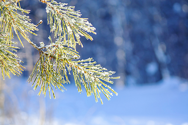 포토 JPG 해외이미지 디자인 계절 호수 백그라운드 겨울 밭 일러스트 자연 하늘 표면 날씨 풍경 사람없음 야외 파란색 우주 맑음 냉동 얼음 침묵 사막 추위 흰색 시원함 12월 땅 남극 북극 순수 언덕 질감 빙하 서리 장면 지역 땅바닥 제설기 평야 눈내림 수평선 해외포토 자연요소 컬러 컨셉 농업 바닥 눈_날씨 소리 날짜 극지방 생태계 제설 파일형식 이미지허브
