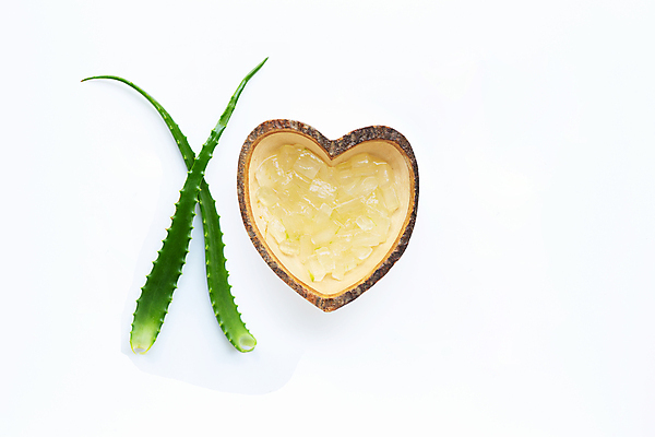 포토 JPG 해외이미지 스튜디오촬영 실내 사람없음 뷰티 흰배경 나무그릇 알로에 해외포토 식물 그릇 백그라운드 내부 목재 흰색 파일형식 이미지허브