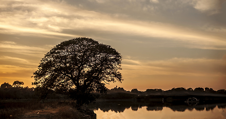포토 JPG 해외이미지 나무 구름 1 실루엣 호수 바다 여행 백그라운드 겨울 밭 오렌지 자연 하늘 앉기 풍경 사람없음 야외 빨간색 초록색 물 여름 컬러풀 태양 뷰티 일출 보라색 어둠 황혼 일몰 가을 시골 황무지 고독 야간 아래 싱글 장면 옛날 조작 혼자 해외포토 자연요소 식물 계절 감정 컬러 농업 과일 모션 촬영기법 노을 방향 생태계 위치 파일형식 이미지허브