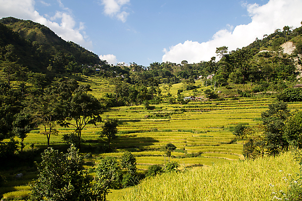 포토 JPG 해외이미지 여행 밭 농업 자국 자연 밥 산 풍경 사람없음 야외 초록색 물 강 환경 계곡 트래킹 하이킹 수확 숲 언덕 순환 네팔 타운 밭일 히말라야 해외포토 자연요소 산업 아시아 음식 컬러 모션 레저 도시 생태계 파일형식 산맥 이미지허브