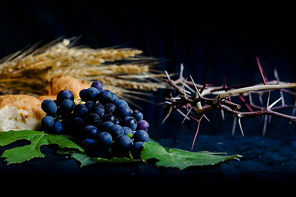 포토 JPG 해외이미지 종교 빵 백그라운드 포도 사람없음 컵 교회 와인 검은색 예수 영혼 밀 신성 성배 성찬식 성체 신앙심 해외포토 식기 음식 컬러 과일 종교건축 곡류 주류 건물 신_종교 파일형식 이미지허브