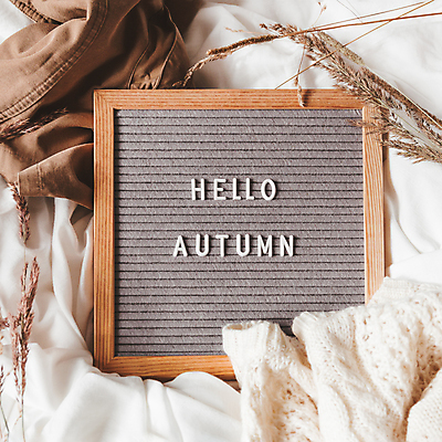 포토 JPG 해외이미지 식물 영어 옷 액자 실내 액자틀 사람없음 장식 하이앵글 가을 천 해외포토 문자 계절 뷰포인트 틀 내부 직물 파일형식 이미지허브