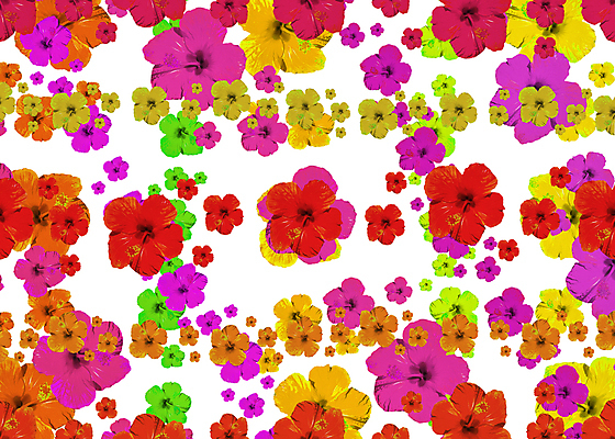 포토 JPG 해외이미지 디자인 꽃잎 꽃 백그라운드 꽃무늬 패턴 자연 표면 미술 사람없음 장식 컬러풀 유행 디지털 희망 힘 활발 거울 수확 벚꽃 직물 화려 60대 인쇄 배열 복고 모자이크 모음 강렬 히비스커스 스타일 해외포토 식물 노년 감정 컬러 컨셉 무늬 농업 문화예술 생태계 파일형식 이미지허브