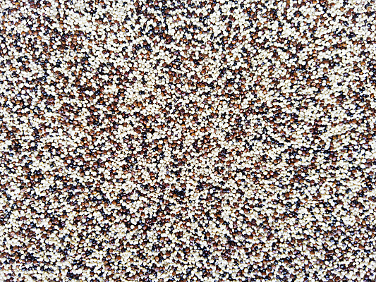 포토 JPG 해외이미지 음식 백그라운드 다이어트 건조 건강 요리 씨앗 사람없음 빨간색 갈색 검은색 흰색 고명 혼합 낟알 유기농 질감 날것 섬유 내추럴 단백질 생식 섞기 채식주의자 퀴노아 카피스페이스 슈퍼푸드 비건 해외포토 식물 웰빙 컬러 곡류 공백 직물 채식 건강식품 영양소 파일형식 이미지허브