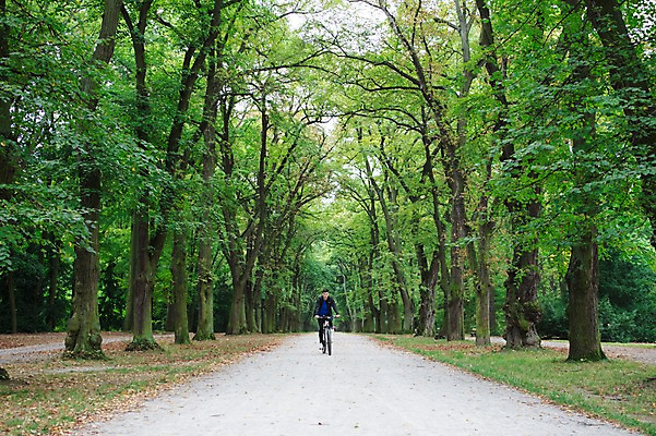 포토 JPG 주간 전신 서양인 외국인 라이프스타일 공원 남자 맨라이프 한명 사람 20대 성인 취미 야외 앞모습 운동복 달리기 운동 자전거 승차 숲 체코 성인남자한명만 국내포토 자연요소 1 옷 공공시설 유럽 뷰포인트 모션 건강 인종 청년 생활 바이크 남자한명만 성인남자만 파일형식