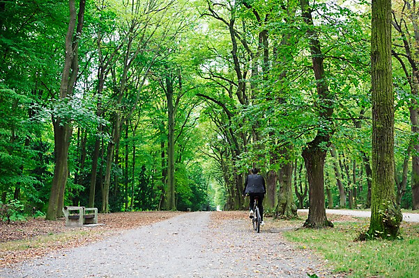포토 JPG 주간 전신 서양인 외국인 라이프스타일 공원 남자 맨라이프 한명 사람 20대 성인 취미 야외 뒷모습 달리기 운동 자전거 승차 숲 체코 성인남자한명만 국내포토 자연요소 1 공공시설 유럽 뷰포인트 모션 건강 인종 청년 생활 바이크 남자한명만 성인남자만 파일형식