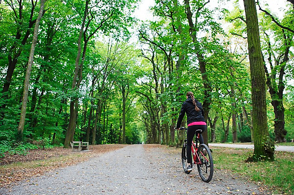 포토 JPG 주간 전신 서양인 외국인 우먼라이프 라이프스타일 공원 여자 한명 사람 20대 성인 취미 야외 뒷모습 운동복 운동 자전거 숲 체코 성인여자한명만 국내포토 자연요소 1 옷 공공시설 유럽 뷰포인트 건강 인종 청년 생활 바이크 여자한명만 성인여자만 파일형식