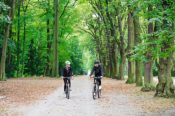 포토 JPG 주간 전신 서양인 외국인 라이프스타일 커플 응시 공원 여자 남자 대화 미소 사람 20대 성인 취미 야외 두명 앞모습 선글라스 운동 마주보기 자전거 승차 숲 헬멧 체코 성인만 국내포토 자연요소 시선 공공시설 유럽 안경 뷰포인트 관계 모션 표정 건강 말하기 인종 청년 생활 바이크 보호장비 파일형식