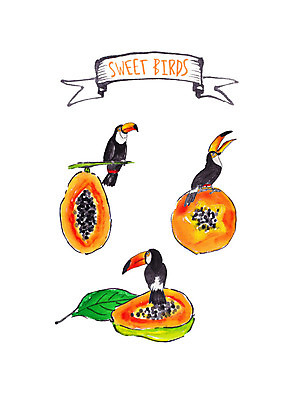 PSD 과일 일러스트 조류 붓터치 나뭇잎 수채화 세마리 사람없음 열대과일 앵무새 파파야 국내일러스트 동물 잎 3 파일형식