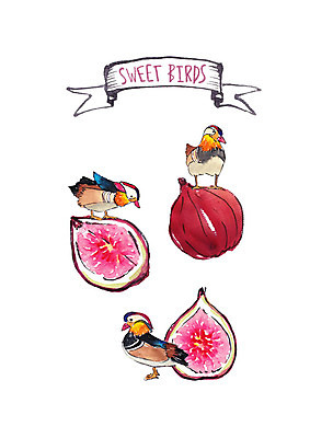 PSD 과일 일러스트 조류 붓터치 수채화 세마리 사람없음 무화과 국내일러스트 동물 3 파일형식