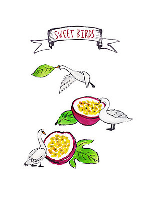 PSD 과일 일러스트 조류 붓터치 나뭇잎 수채화 오리 세마리 사람없음 열대과일 패션후르츠 국내일러스트 동물 잎 3 파일형식