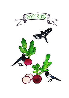 PSD 일러스트 조류 붓터치 수채화 세마리 사람없음 까치 적환무 국내일러스트 동물 3 무 파일형식