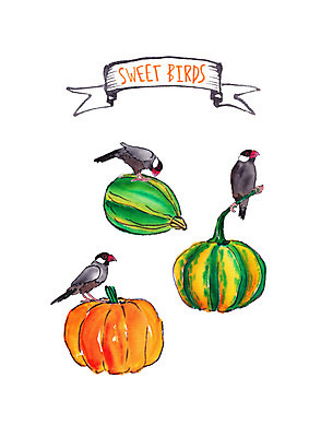 PSD 일러스트 조류 호박 붓터치 수채화 세마리 사람없음 앵무새 국내일러스트 동물 채소 3 파일형식