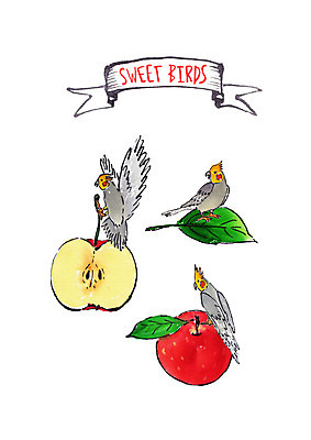 PSD 과일 일러스트 조류 붓터치 나뭇잎 수채화 세마리 사람없음 사과 반쪽사과 국내일러스트 동물 잎 3 파일형식